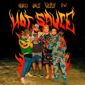 Hot Sauce (feat. Ovi) artwork