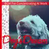 BGM For Concentrating At Work album lyrics, reviews, download