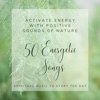 50 Energetic Songs - Activate Energy with Positive Sounds of Nature, Spiritual Music to Start the Day