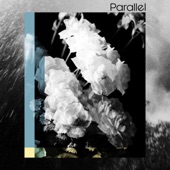 Parallel - Orchid