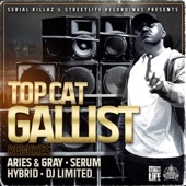 Top Cat - Gallist - DJ Limited Remix