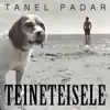 Stream & download Teineteisele - Single