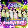 Jamu Pegel Mlarat (feat. Ageng Music & Arlida Putri) - Single