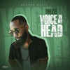 Voice in My Head - Single