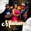 Kaytee - Mushumo (feat. MR BROWN & AIRBURN SOUNDS)
