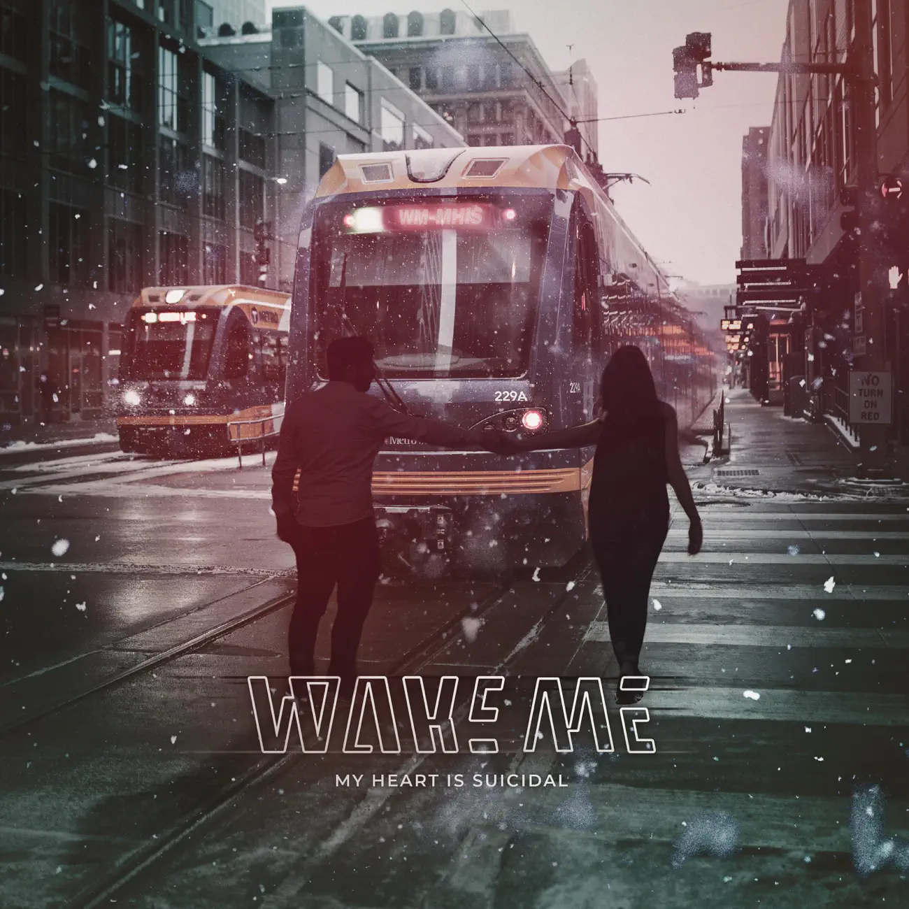 Wake Me - My Heart Is Suicidal [Single] (2022)