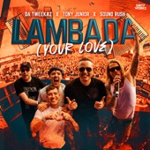 Lambada (Your Love) [Extended Mix] artwork