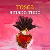 Amado tudo artwork