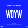 Wdyw (feat. Crazy Singa, Block & FavitoBaby) - Single album lyrics, reviews, download