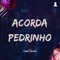 Acorda Pedrinho (Theo Remix) artwork