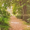 Gold Is the Colour - Single