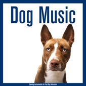 Dog Music: Calming Instrumentals for Fast Dog Relaxation artwork