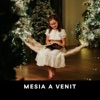 Mesia A Venit - Single