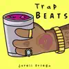 Trap Beats album lyrics, reviews, download