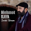 Mehmet Kaya - Sevdalı Turnam