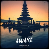 Awake artwork