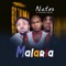 Malaria (feat. Mackinz & Dee Cee) - Natez lyrics