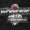 What Would You Do? - Single album lyrics, reviews, download