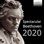 Spectacular Beethoven 2020 artwork