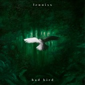 Bad Bird artwork