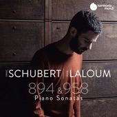 Schubert: Sonatas D. 894 & D. 958 artwork
