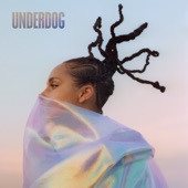 Underdog artwork