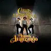 Vamos Avanzando album lyrics, reviews, download