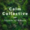 Waterfall Shower - Calm Collective lyrics