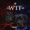 Wtf (feat. Rahli) - Jim Blanka lyrics