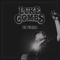 Album Beer Never Broke My Heart - Luke Combs