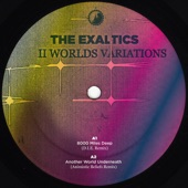 The Exaltics - Another World Underneath (Animistic Beliefs Remix)