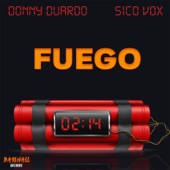 Fuego artwork