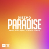 Paradise (Joedan Ruff Cut Remix) artwork
