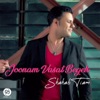 Joonam Vasat Begeh - Single