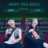 Want You Back (feat. León) [Remixes] - Single album lyrics, reviews, download