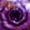 Lobate Scarp - Nothing Wrong