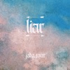 Liar - Single