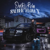 Dreckig reden sauber flow'n artwork