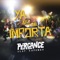 Ya No Me Importa (feat. Kapanga) - Percance lyrics