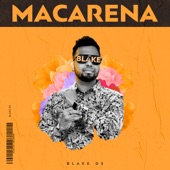 Macarena (Remix) artwork