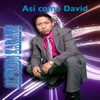 Alfredo Zarate - Así Como David
