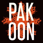 Pakoon artwork