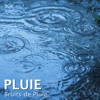 Pluie - Bruits de Pluie