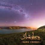 Shankara NZ - No Worries