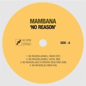 No Reason (Axwell Vocal Mix) artwork