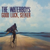 The Waterboys - Why Should I Love You?