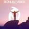 Bonum Vibes - Lantte lyrics