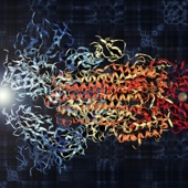 Viral Counterpoint of the Coronavirus Spike Protein artwork