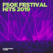 FSOE Festival Hits 2019 artwork