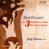 Jorg Demus & Thomas Albertus Irnberger - Sonate E-Dur Op. 109 - Andante (Beethoven)